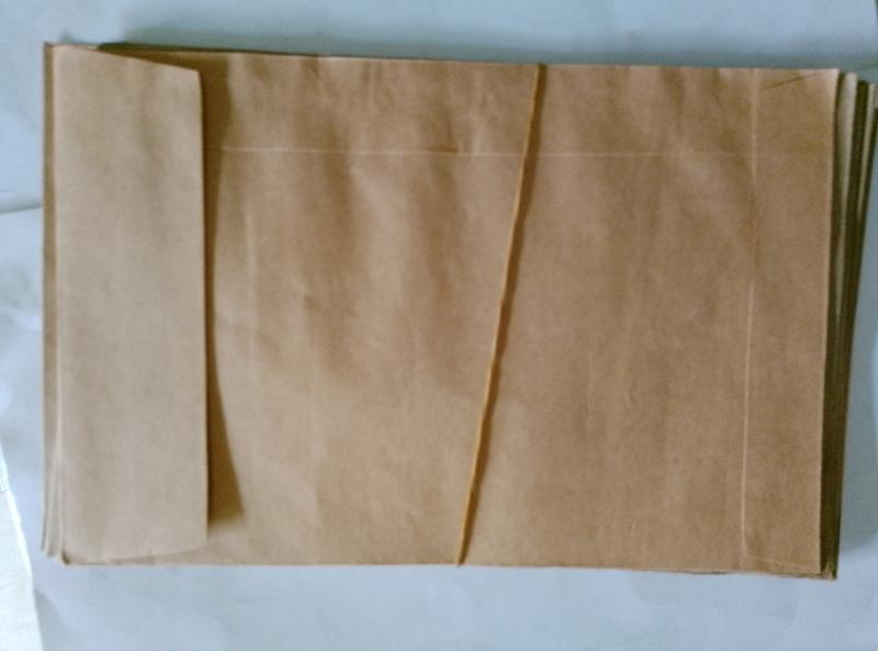 Photo size Brown envelope 